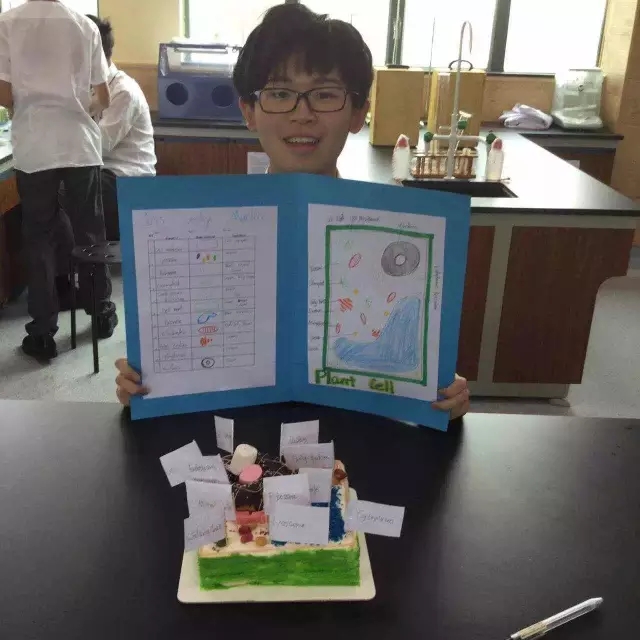 DIY生物模型蛋糕，ILTexas-FLS学生爱上生物课-华师附外国际领袖高中课程 (6).jpg