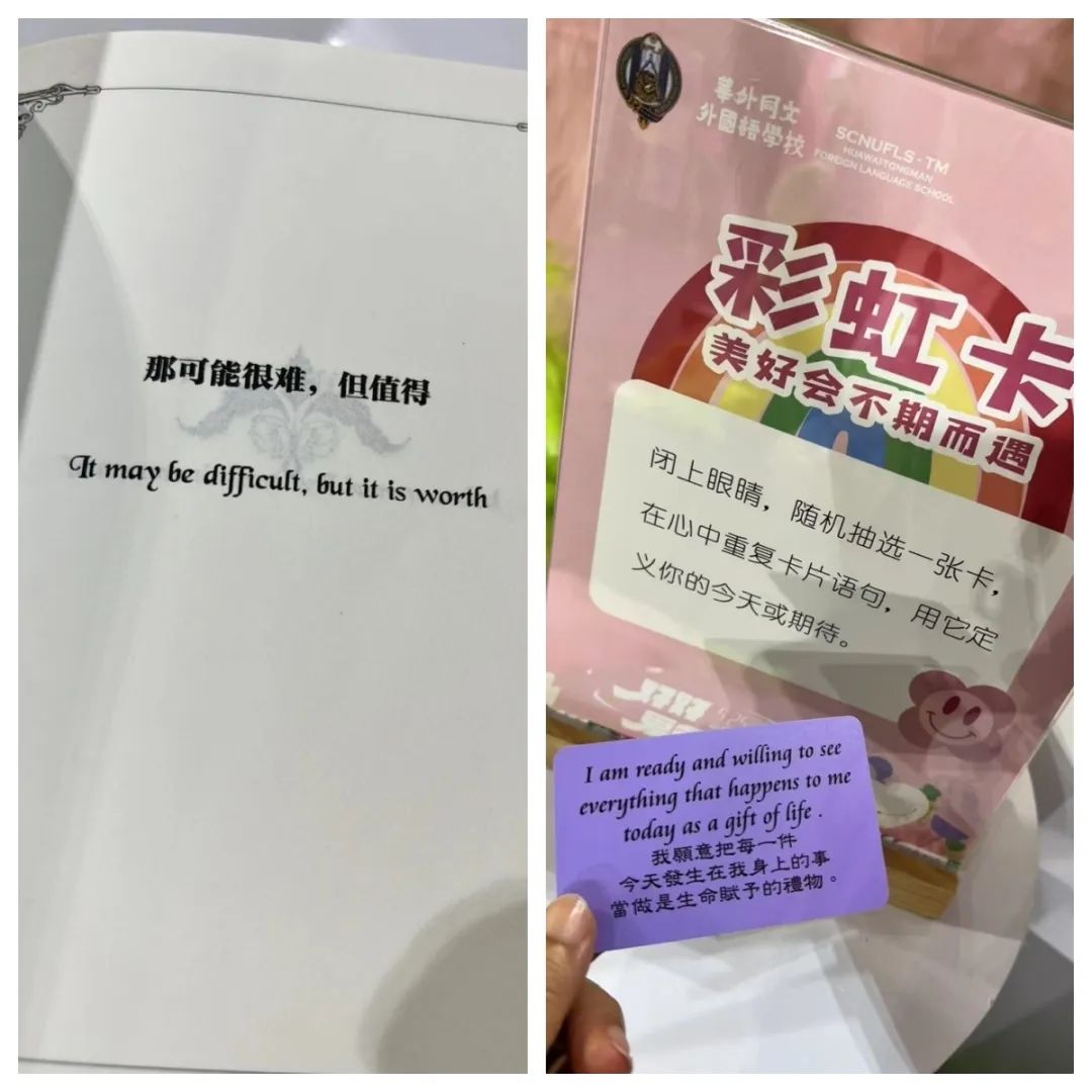 3.jpg 图片