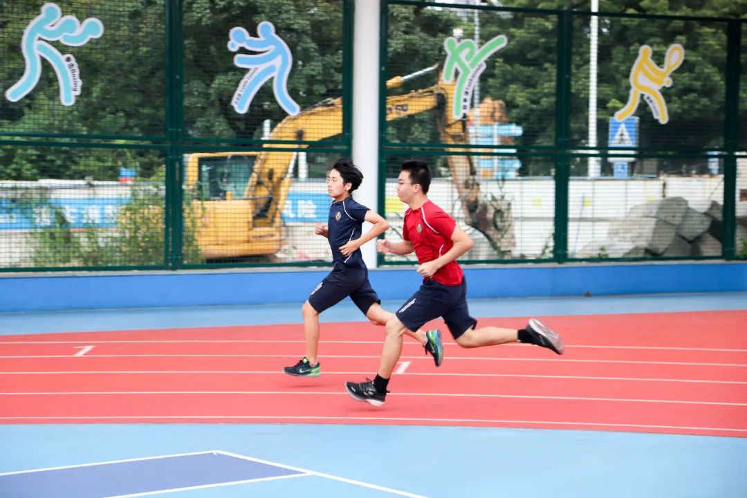 IMG_0242.jpg 图片